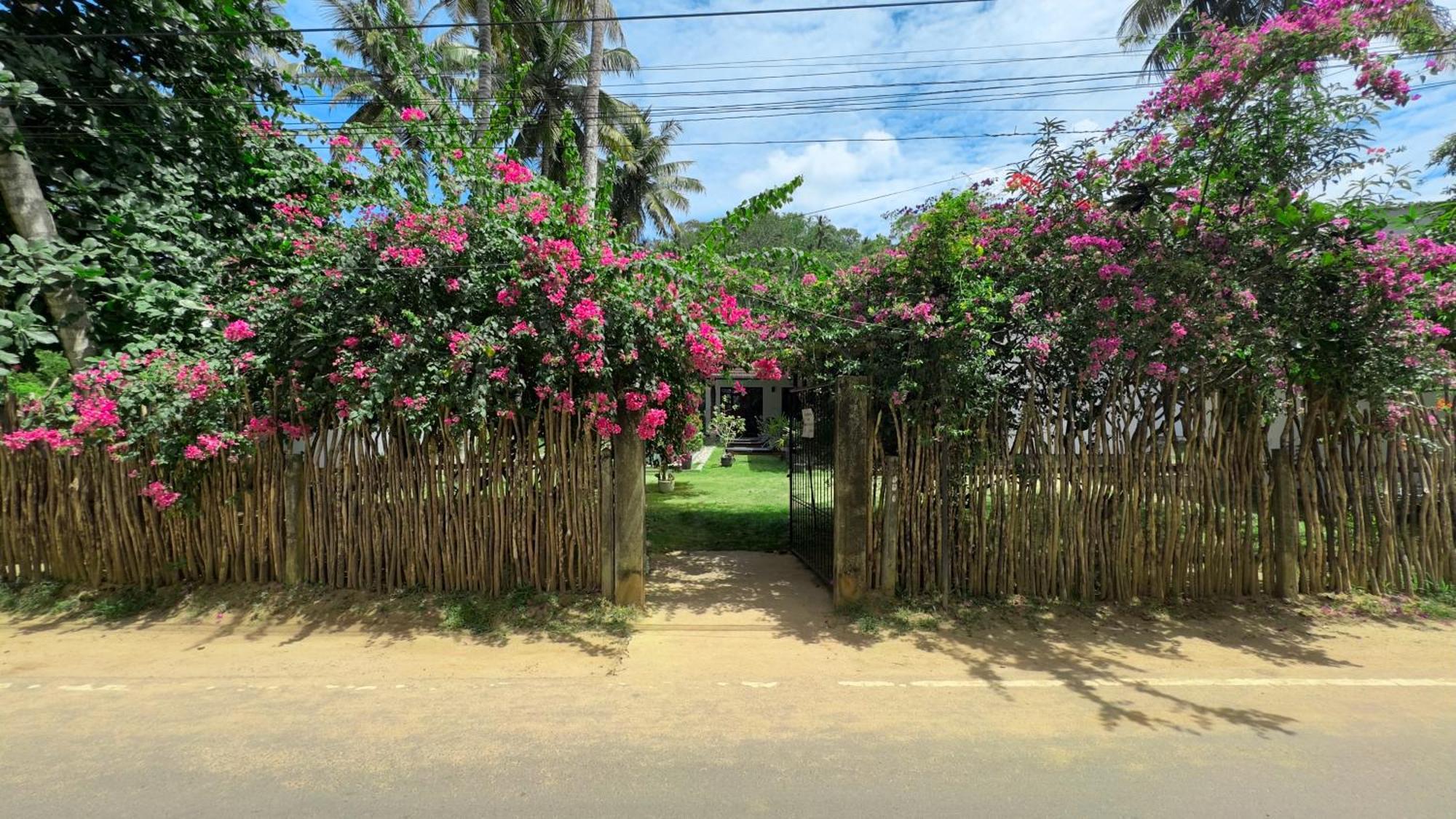 Villa Hiriketiya ดิคเวลลา ภายนอก รูปภาพ